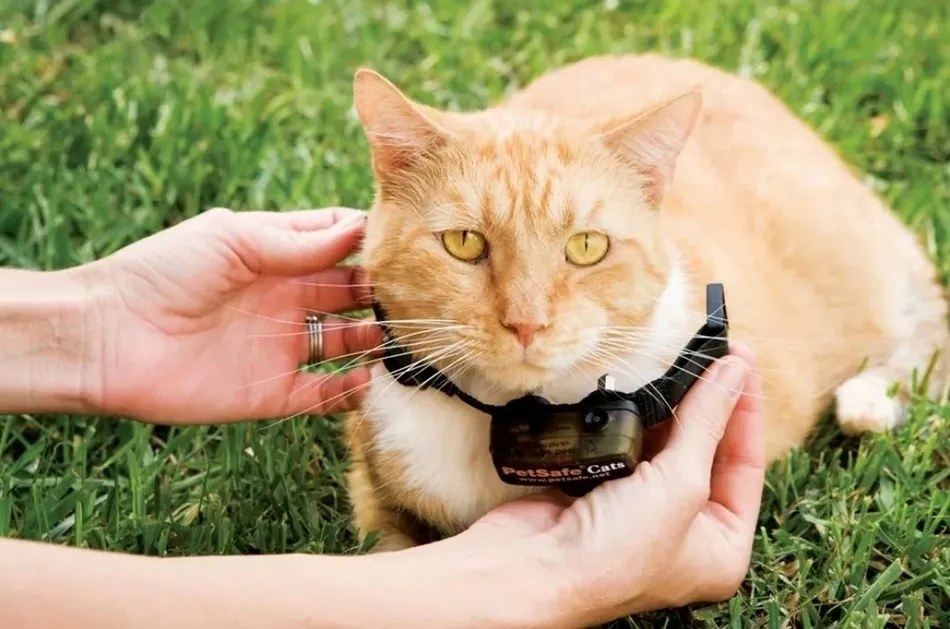 PetSafe® Extra Deluxe macskanyakörv Ultrakönnyű