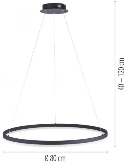 Paul Neuhaus 2383-13 - LED Dimmelhető csillár zsinóron TITUS LED/50W/230V