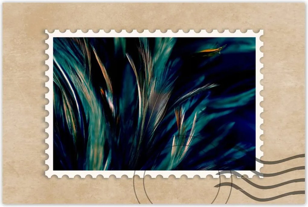 Poszterek 120x80 Puha pávatollak