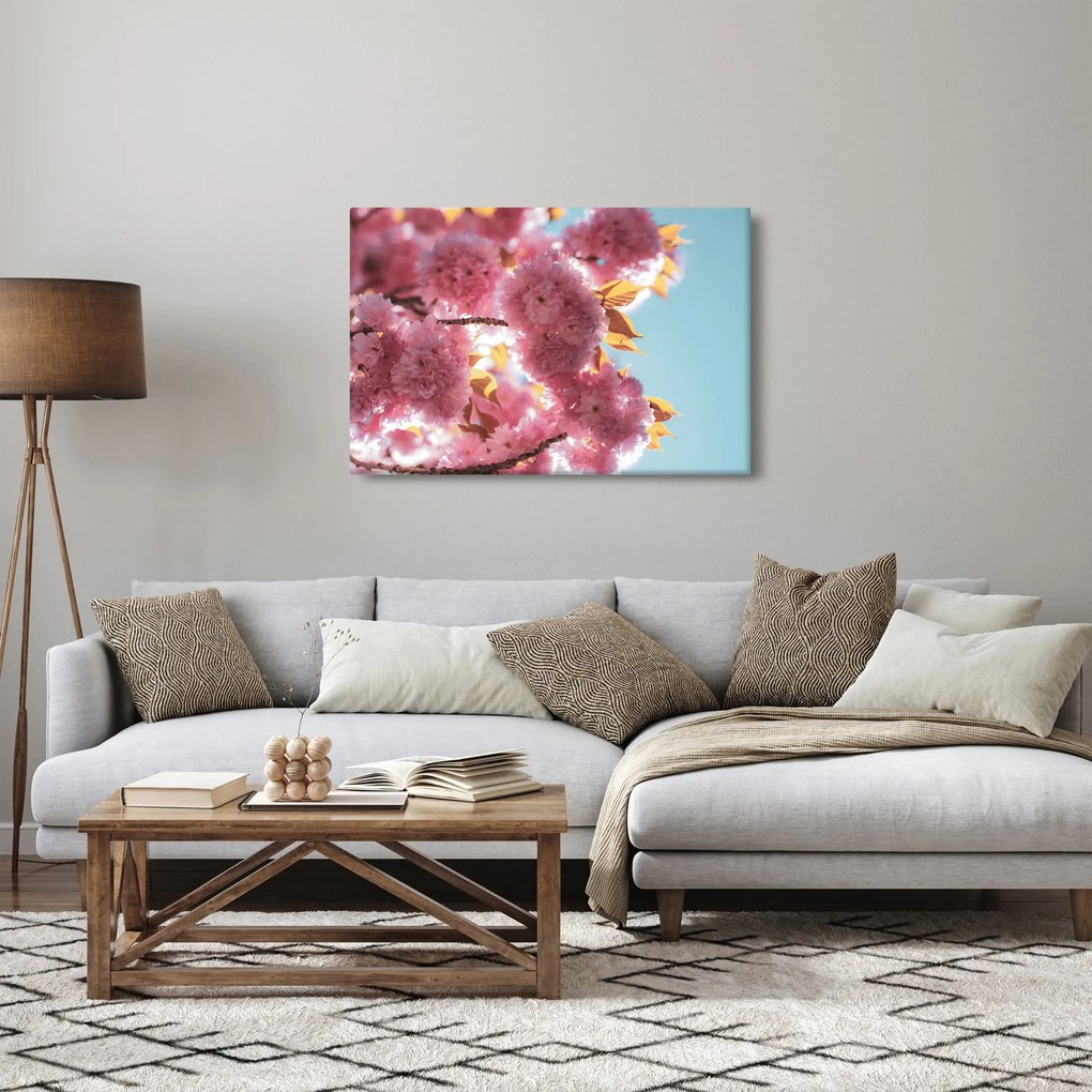 Kép - Cseresznyevirág (90x60 cm)