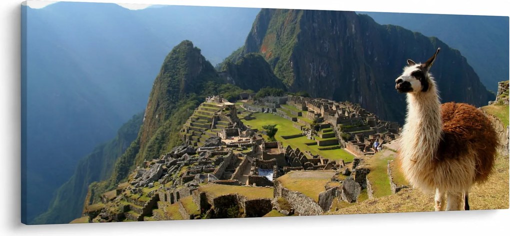 Kép - Láma és Machu Picchu (120x50 cm)