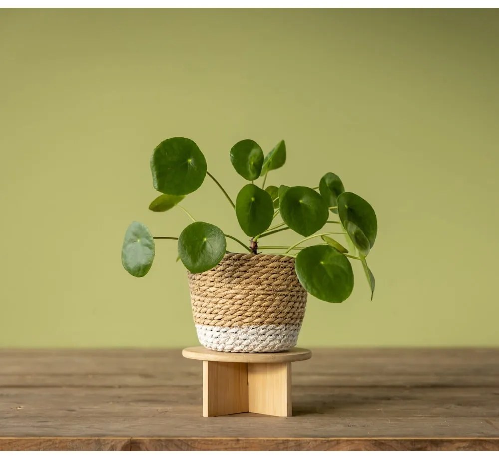 Bambusz virágtartó állvány ø 18 cm – Esschert Design