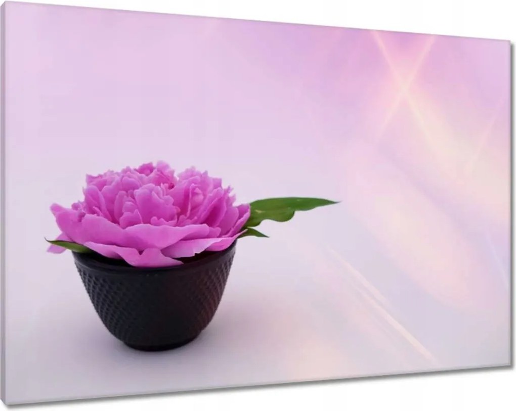 Vászonkép 100x70 Spa Wellness Virág