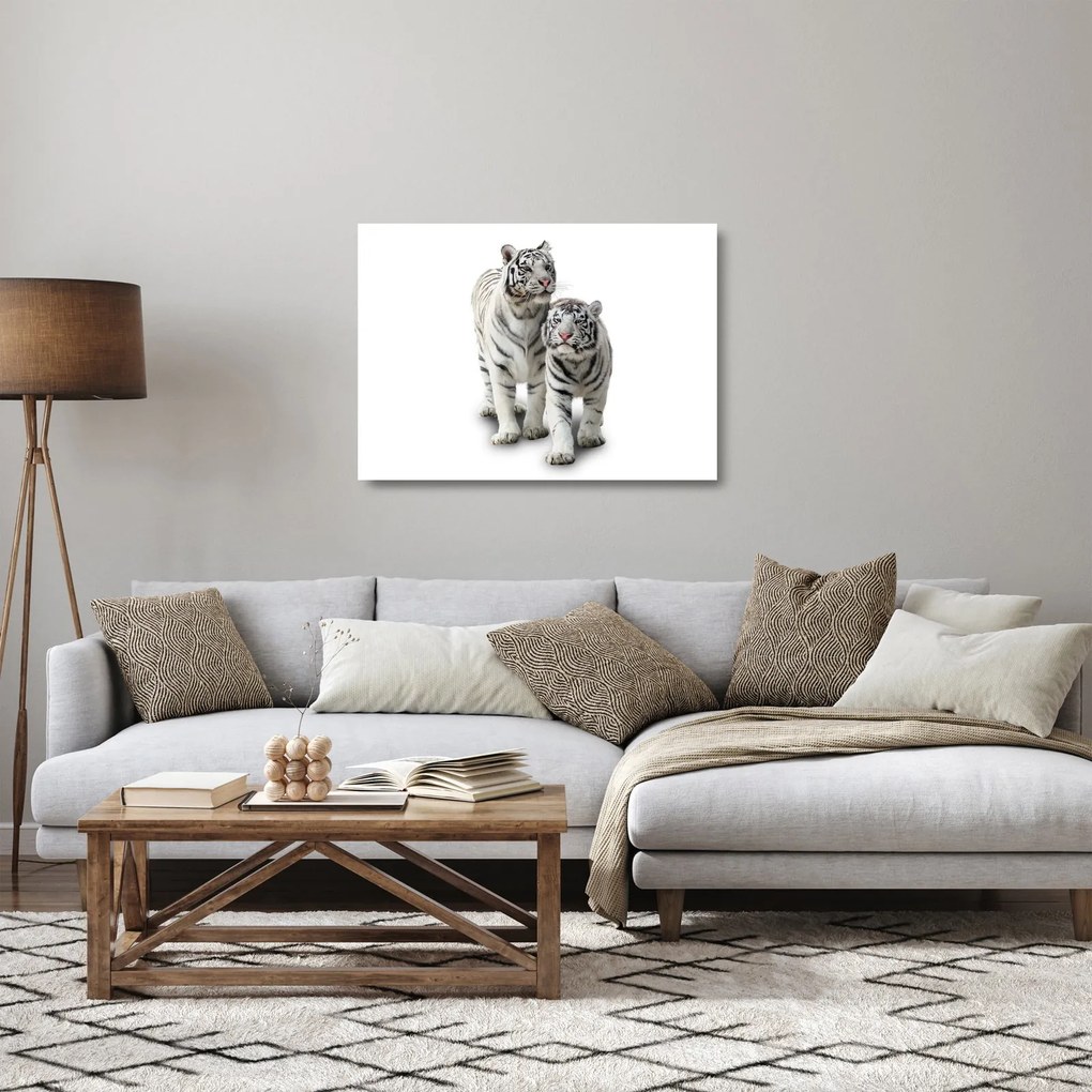 Üveg kép - A fehér tigris (70x50 cm)