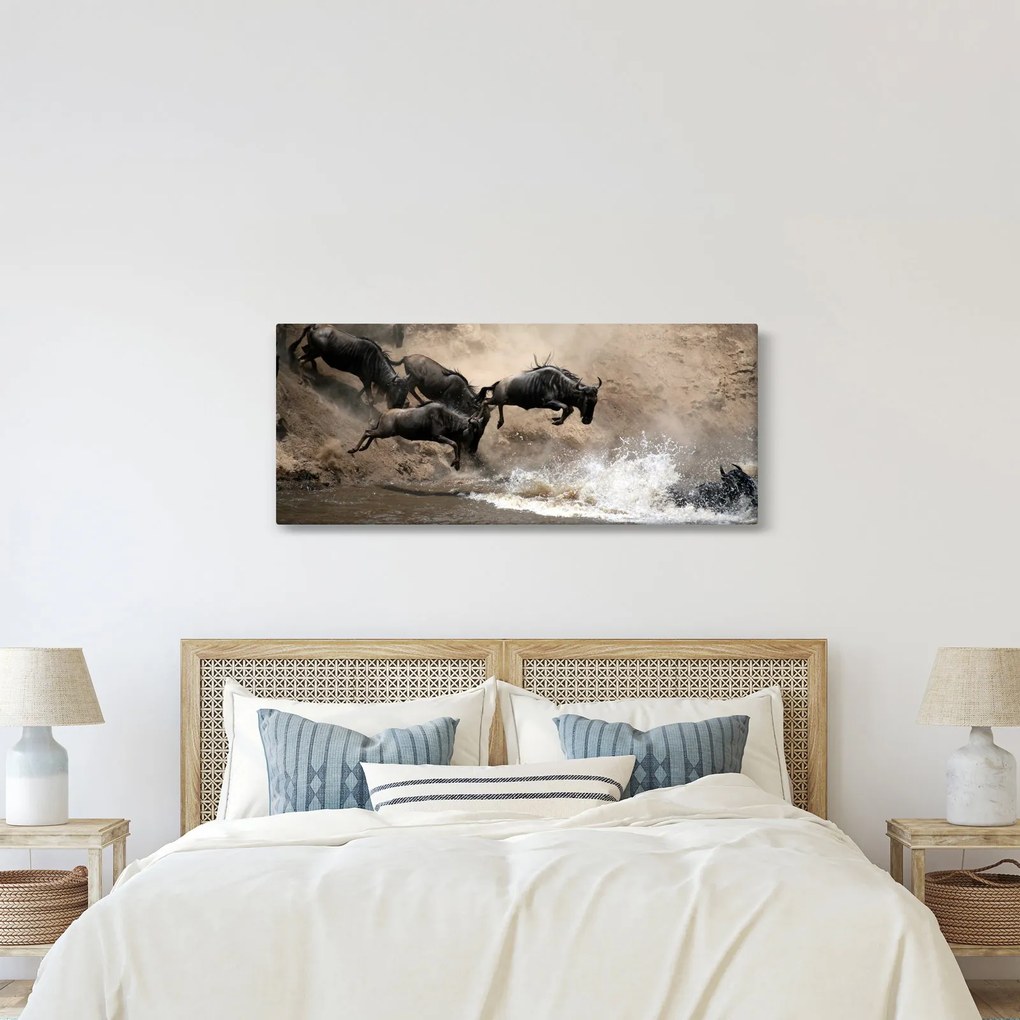 Kép - Gnúcsorda (120x50 cm)