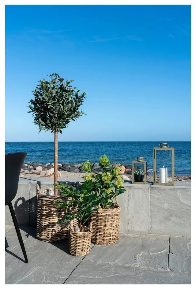 Műnövény (magasság 60 cm) Fig – House Nordic