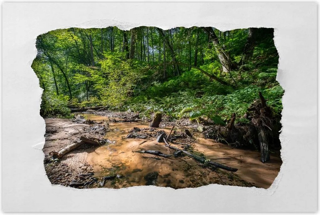 Poszterek 90x60 Folyó Trópusi erdő