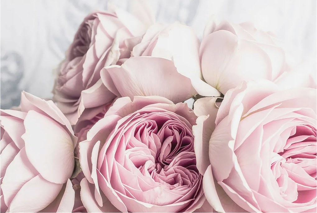 Flizelin tapéta falra Prémium Rózsaszín rózsák 104x70 Ragasztó