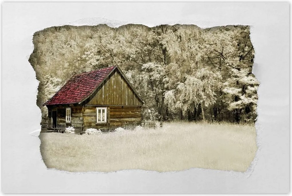 Poszterek 90x60 Rönkház Bale