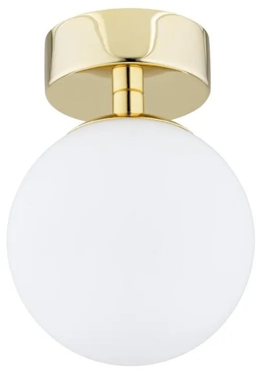 Argon 4004 - Fürdőszobai mennyezeti lámpa FLAVIO 1xE14/7W/230V IP44