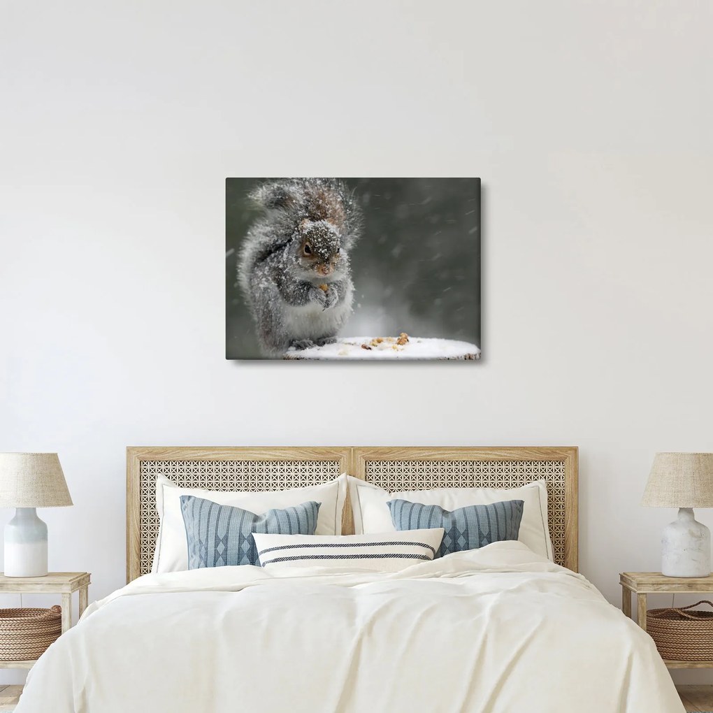 Kép - Mókus télen (70x50 cm)