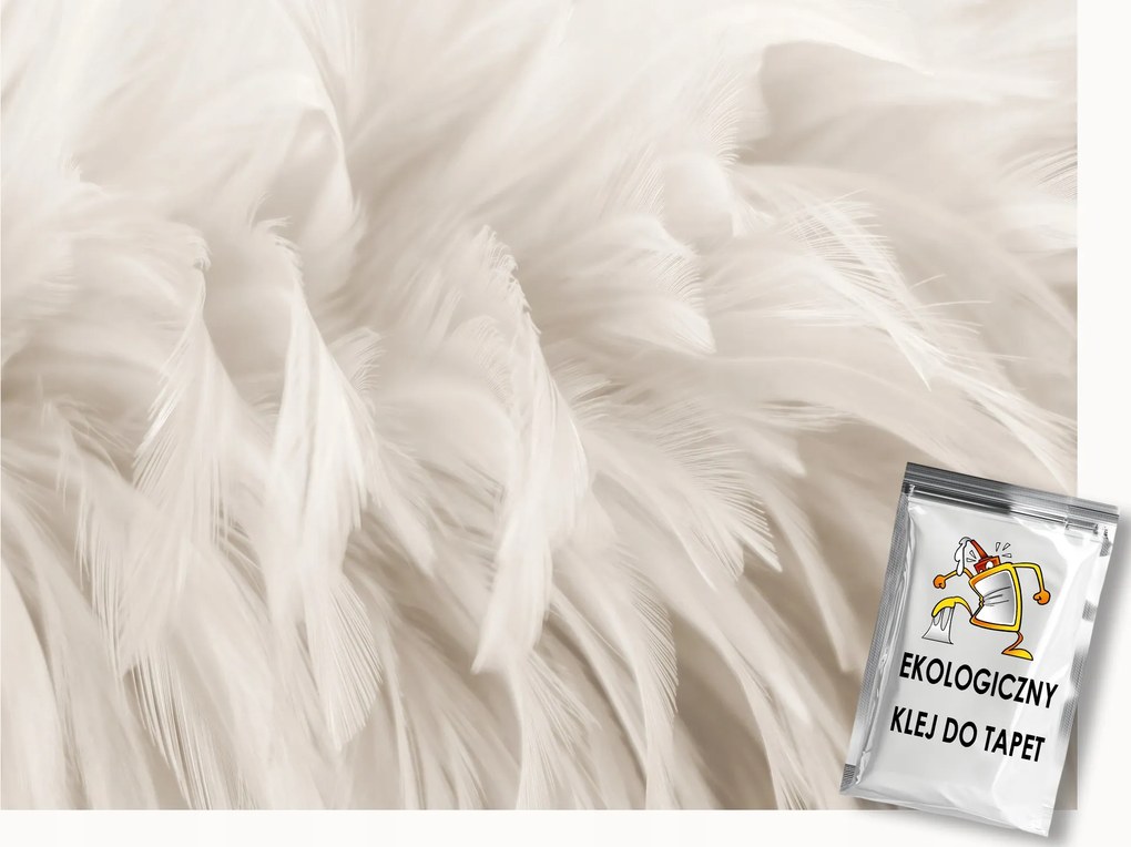 Fotótapéta Flizelina Dekoráció Világos Toll Pehely Boho 400x280 ragasztó