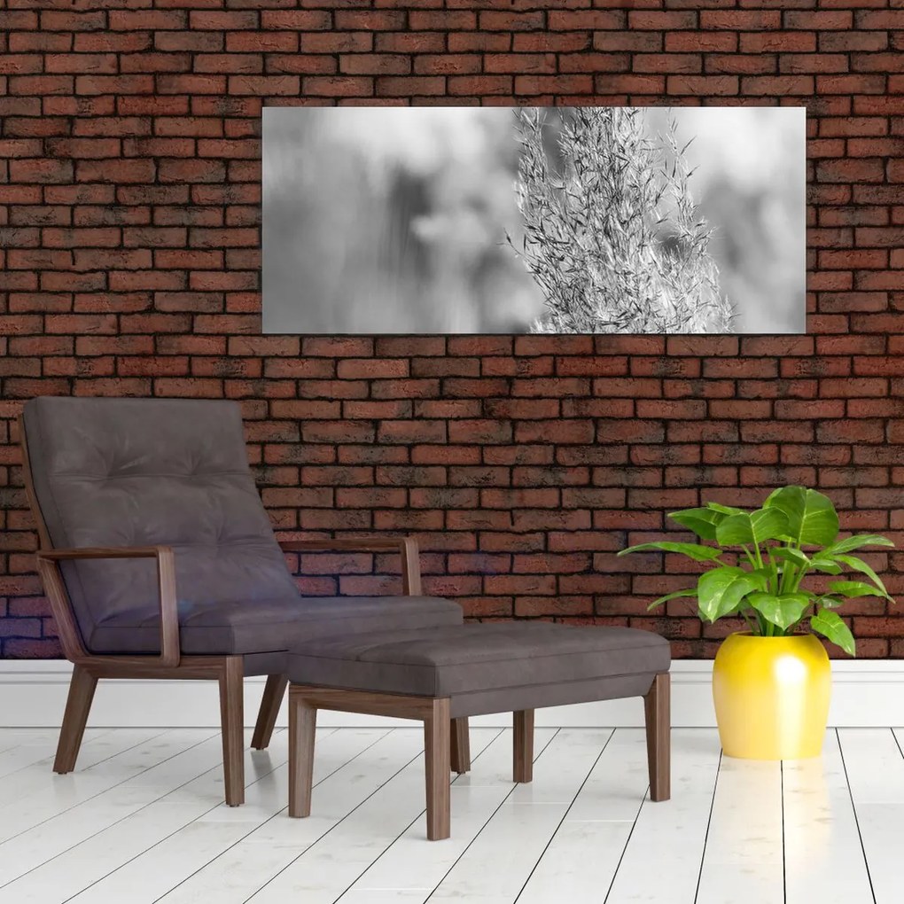 Kép - Boho pampafű (120x50 cm)