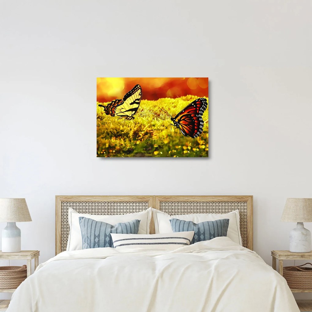 Pillangó képe (üvegen) (70x50 cm)
