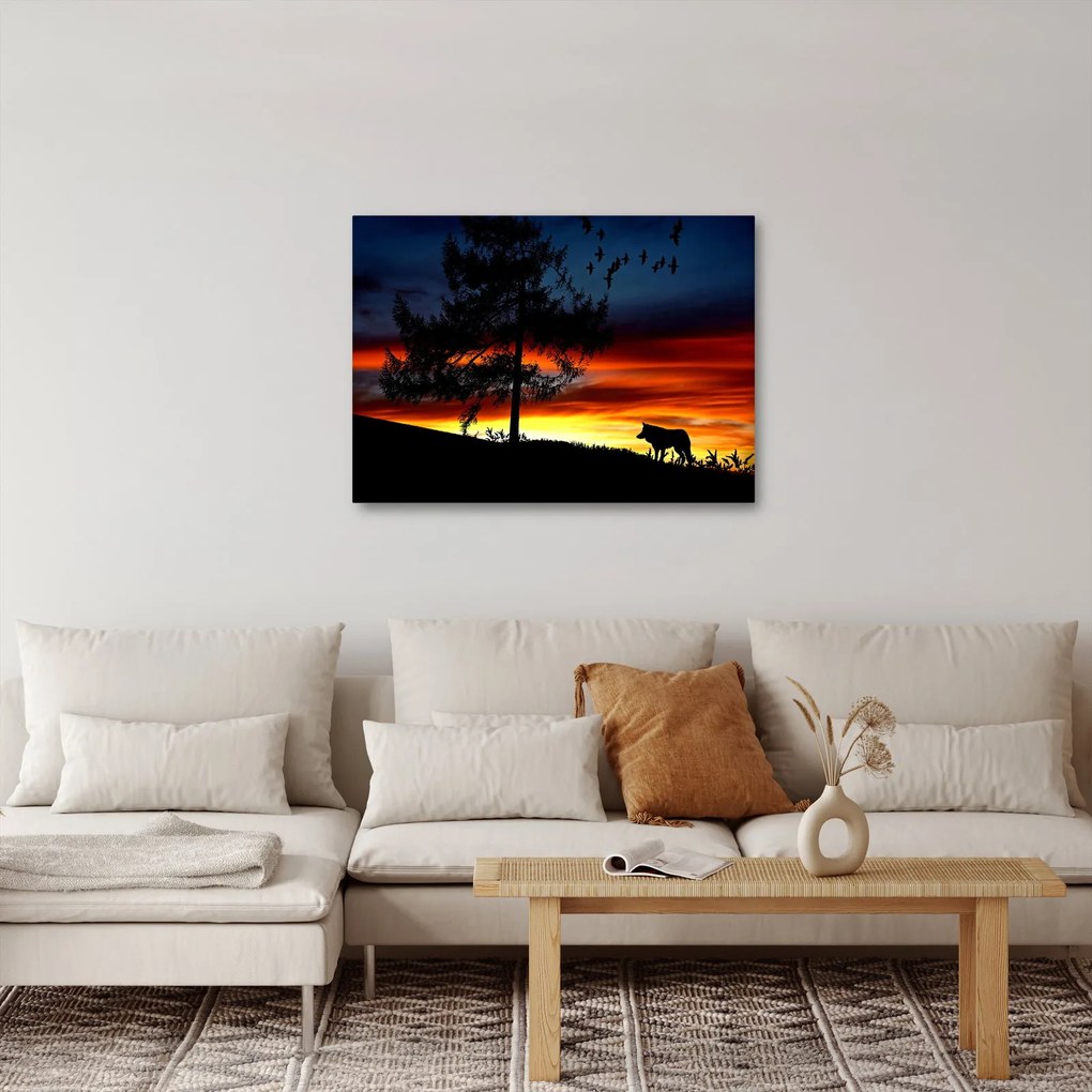 Kép - Farkas sziluettje (70x50 cm)