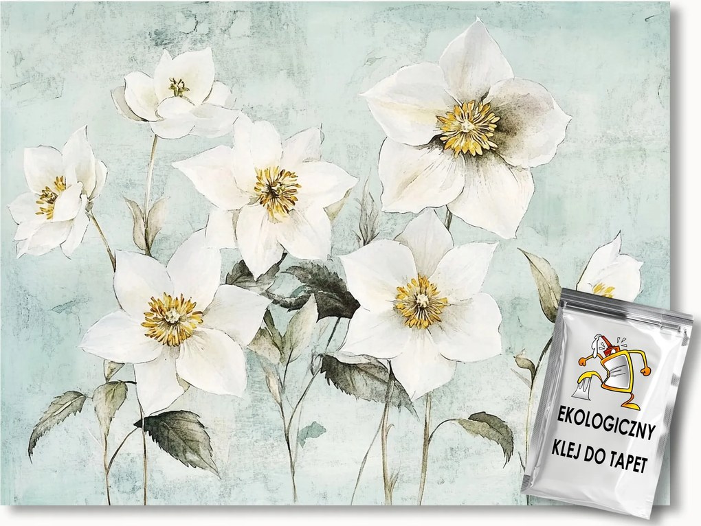 Fotótapéta Flizelina Grafika Kert Fehér Virágok Hunyor 368x254 ragasztó