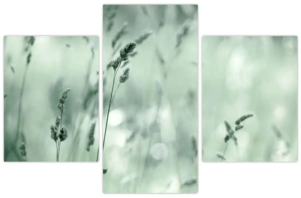 Kép - Zöld rét (90x60 cm)