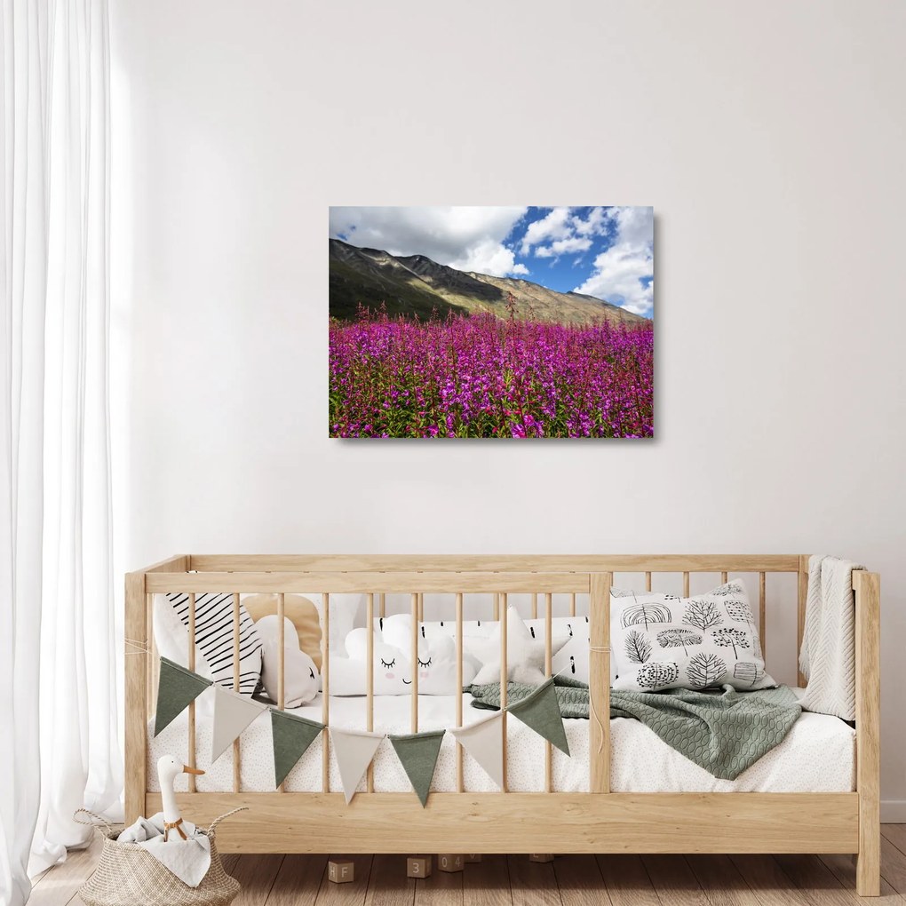 Hegyi rét tája (üvegen) (70x50 cm)