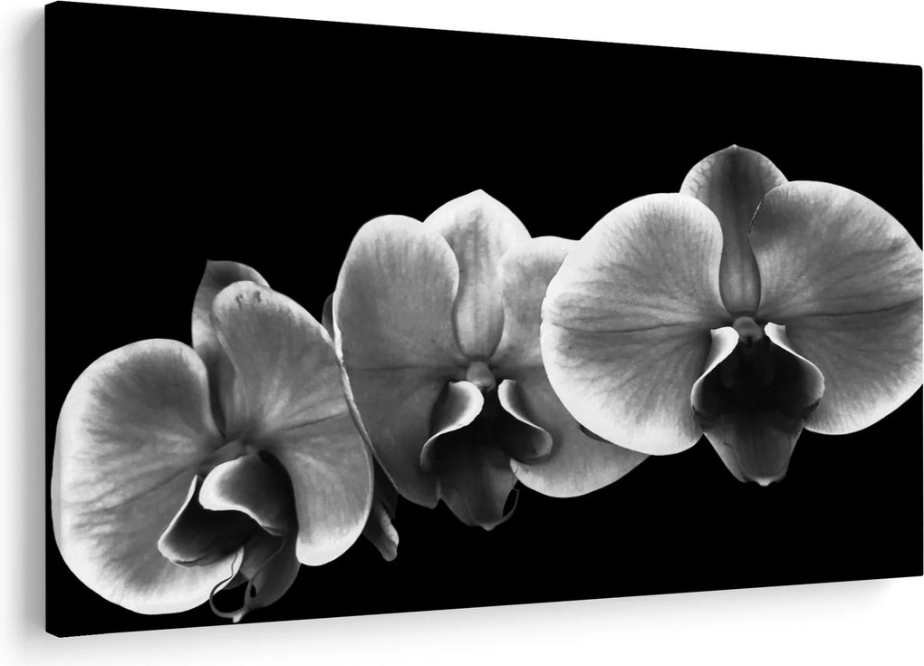 Egy orchidea virág képe (90x60 cm)