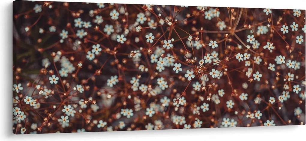 Erdei nefelejcs virág képe (120x50 cm)