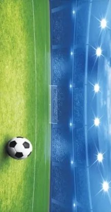 Strandtörölköző Fürdőlepedő XXL 100x180 Summer pálya Nincs Futball