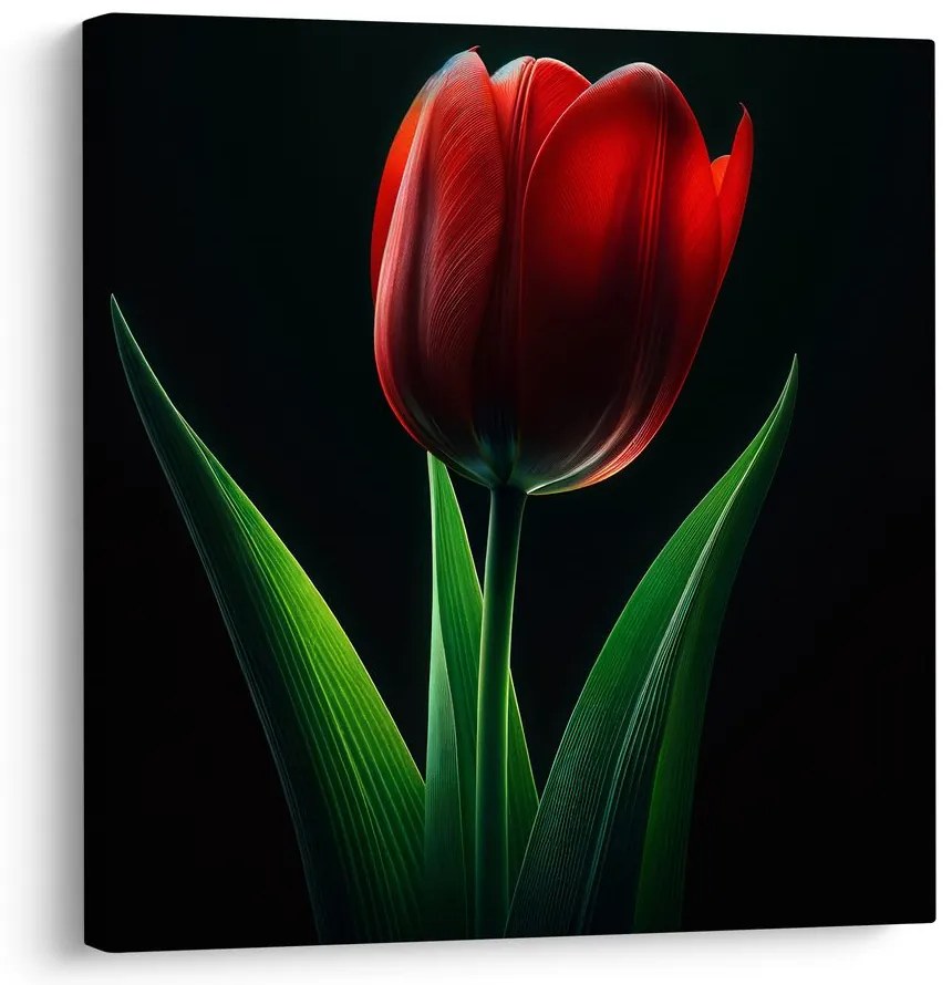 Kép tulipán virág éjjel