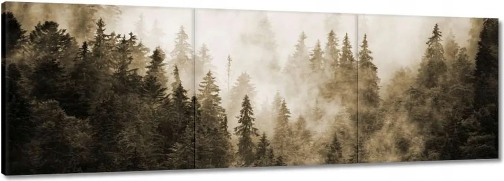 Festmények 120x40 Tájkép Szépia Hegyek Köd