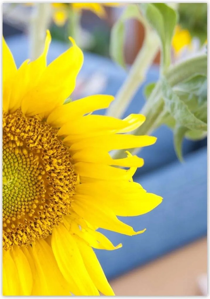 Poszterek 70x100 Nőnap Ajándék Love