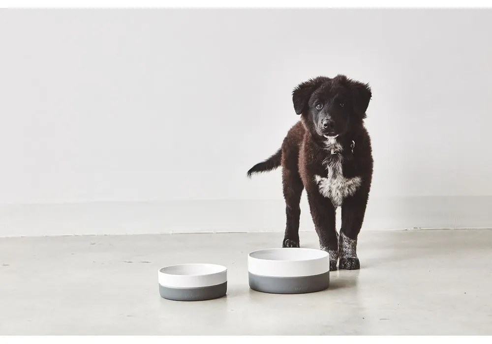 Porcelán tálka kutyáknak ø 21,5 cm Coppa Slate M/L – MiaCara