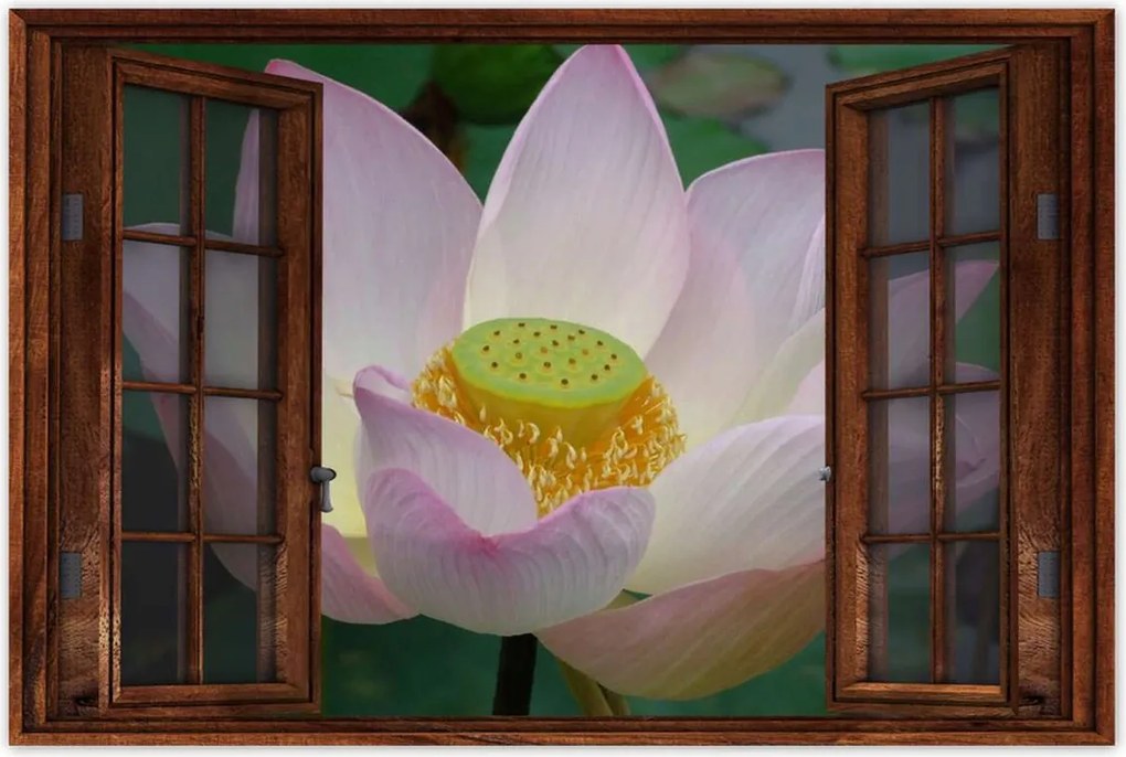 Poszterek 90x60 Lótusz Lótuszvirág