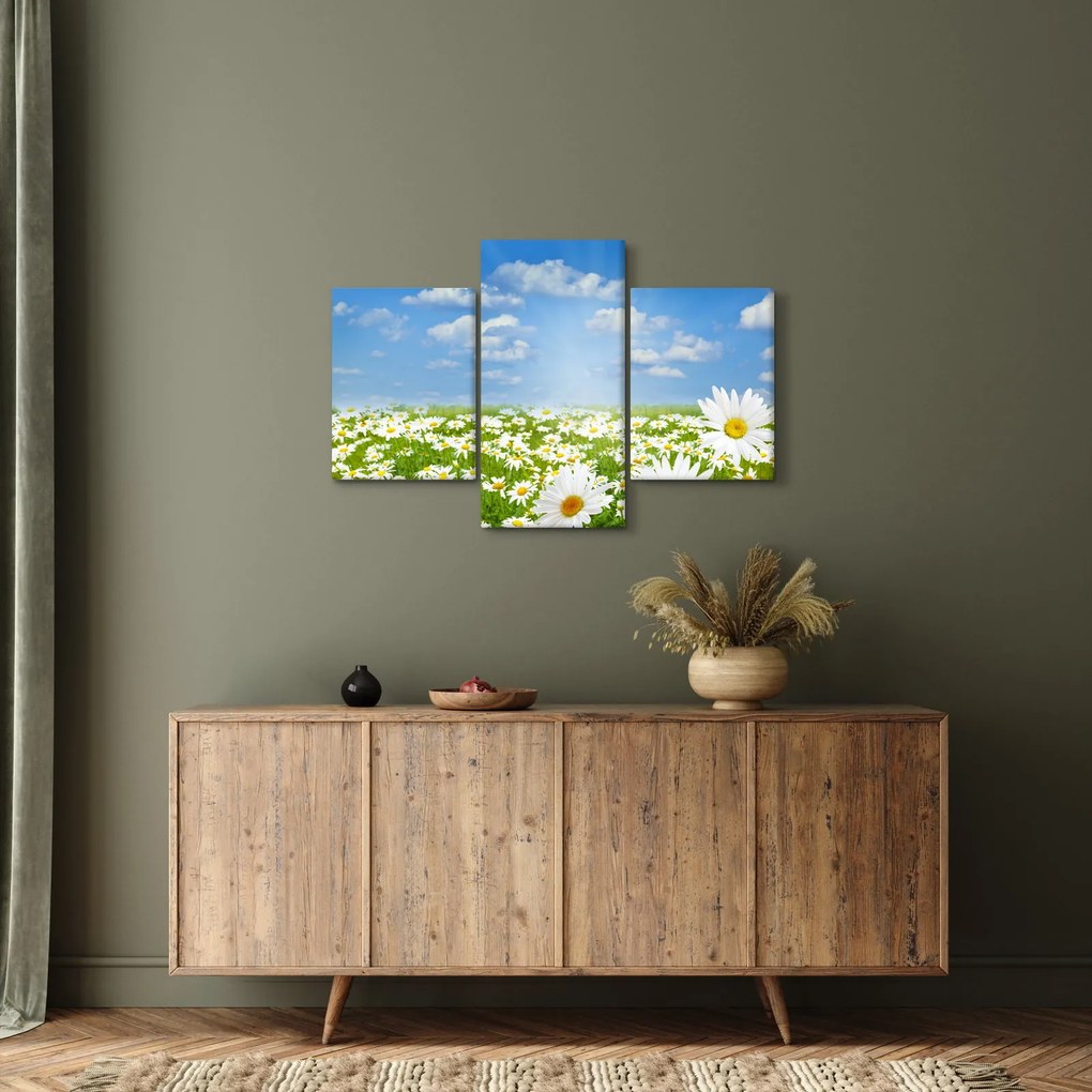A virágzó rét százszorszépekkel képe (90x60 cm)