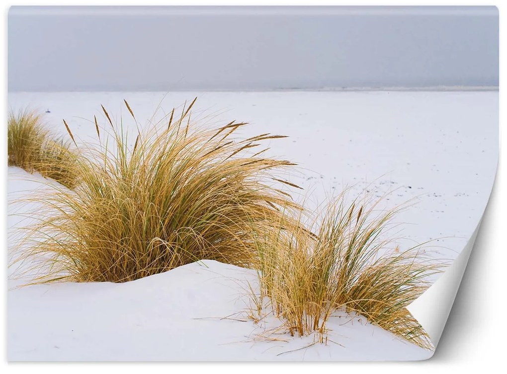 Gario Fotótapéta Dunék arany homokon Anyag: Vlies, Méret: 400 x 280 cm