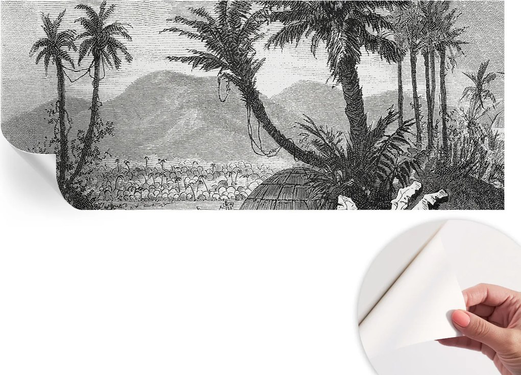 Design fali fotótapéta Öntapadós Trópusi oázis 250x104 cm