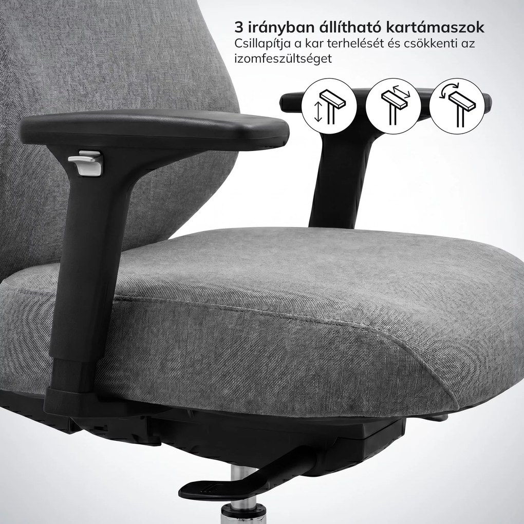 Ergonomikus irodai szék sötétszürke AXIS