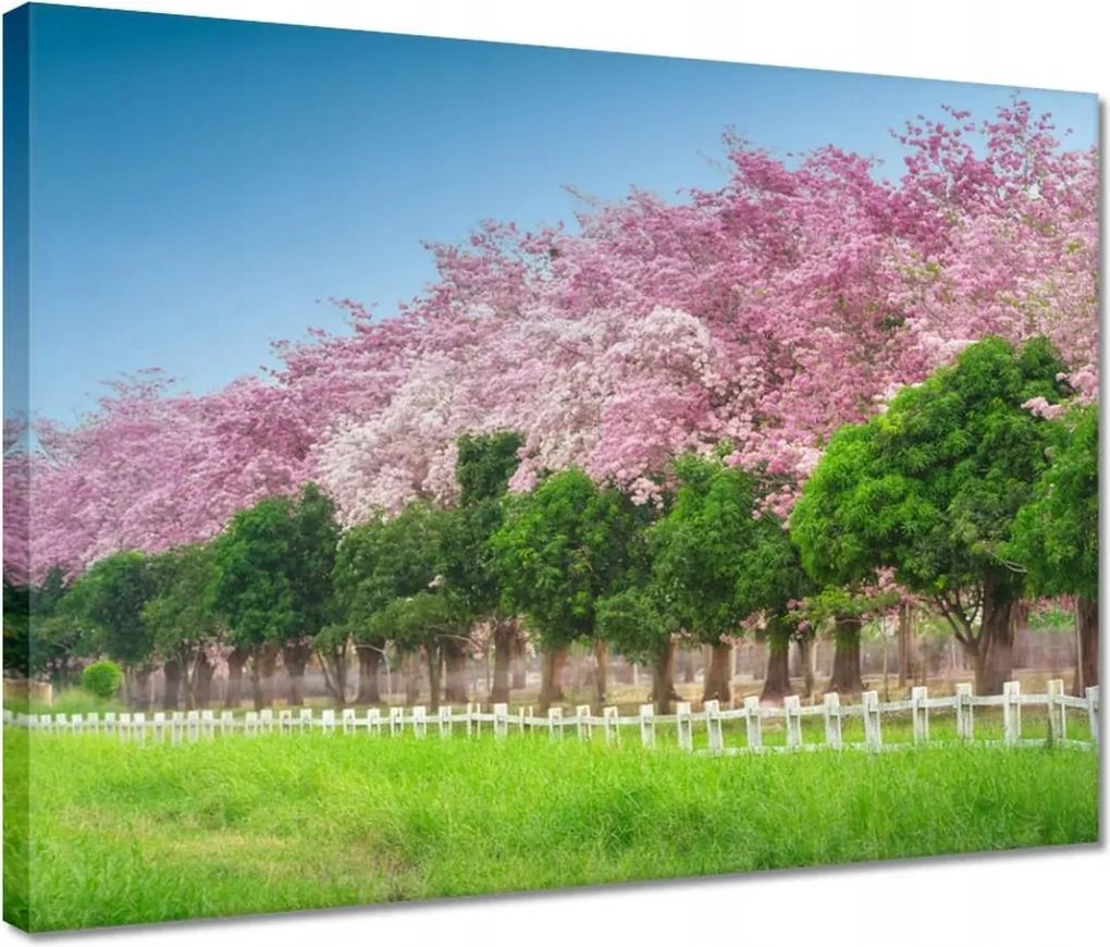 Vászonkép 40x30 Cseresznyés tájkép