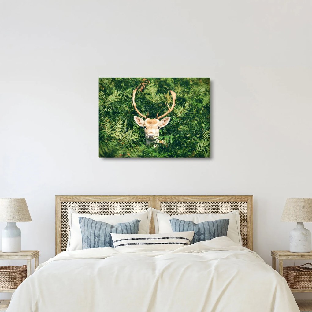 Kép - őz fej részlete (70x50 cm)