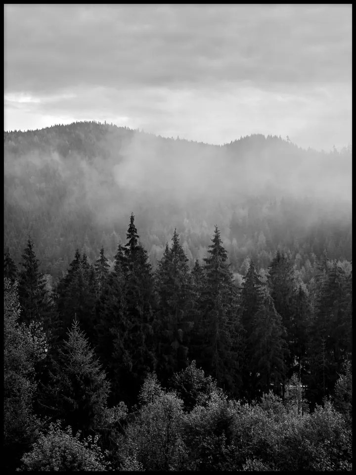 Erdő hegyek köd fák fekete-fehér poszter 60x90cm