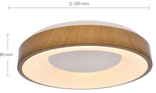 Brilagi - DORIA LED 48W stropní stmívatelné svítidlo 3000-6500K + DO