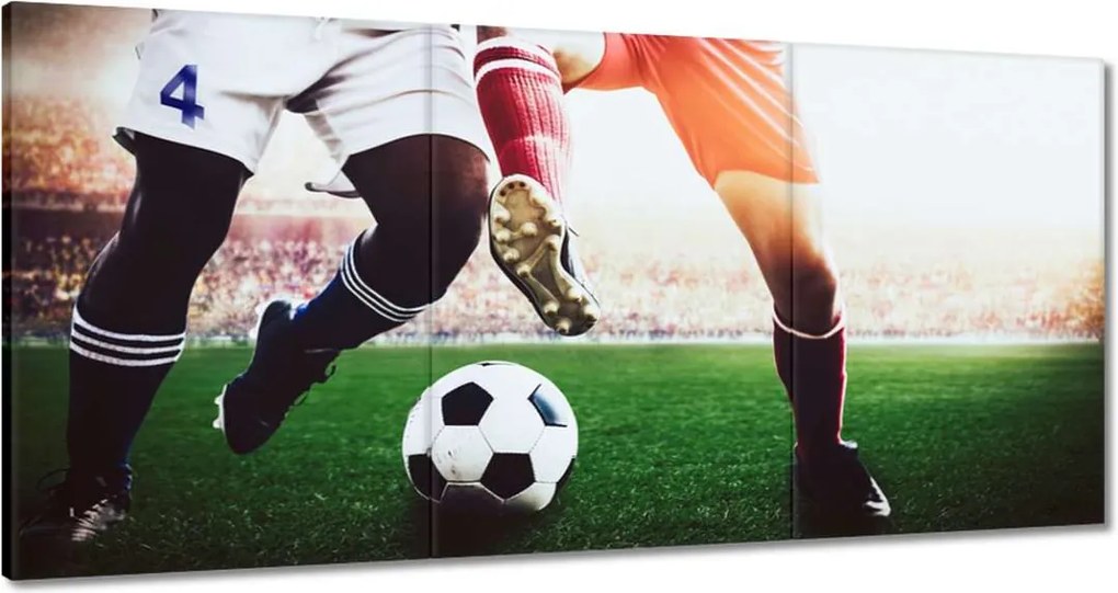 Képek 120x60 Labdarúgók Labdarúgás Ág Dugók