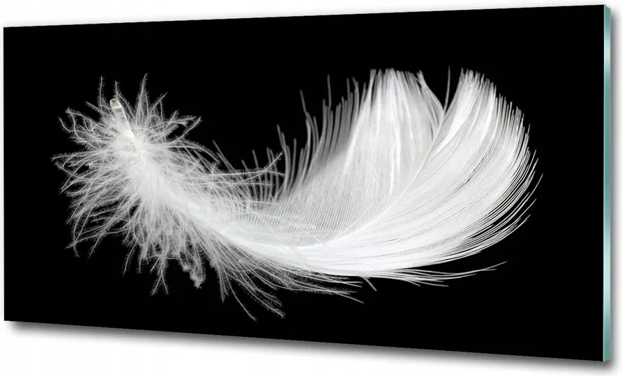 Fotó-kép fotó edzett üveg Toll 100x70