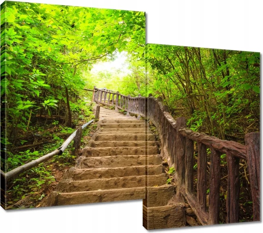Vászonkép 80x70 Lépcsők az erdőbe