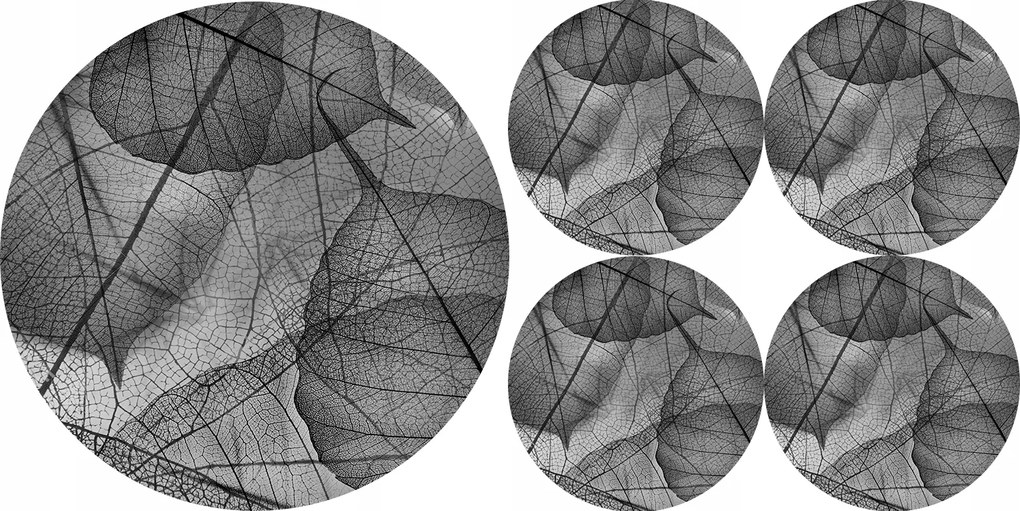 Asztali alátét szett kerek 1+4 Fragile