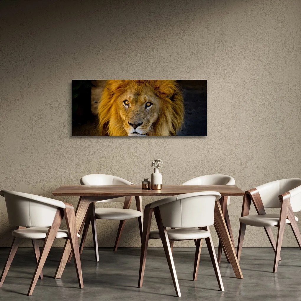 Kép - Egy oroszlán portréja (120x50 cm)