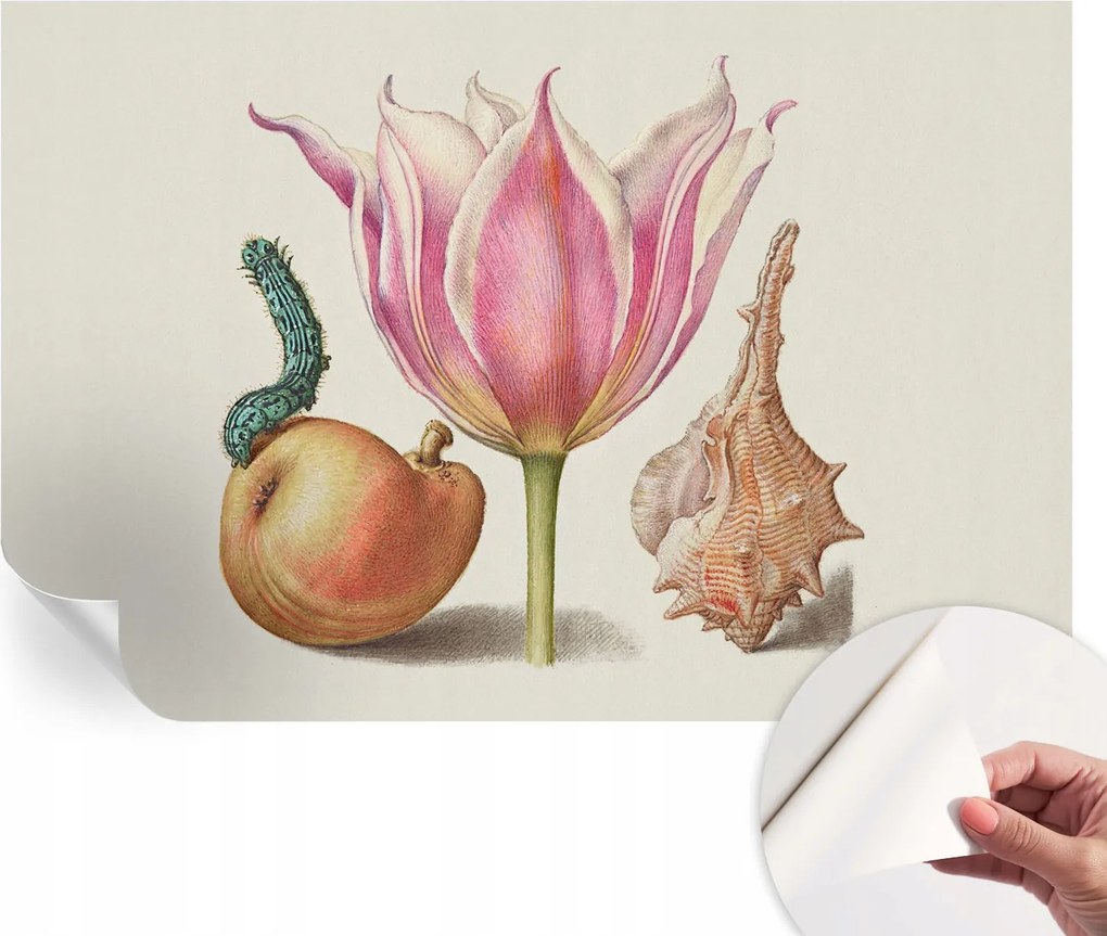 Öntapadós Dekoratív Fotótapéta Hálószobába Természetes szimbiózis 104x70