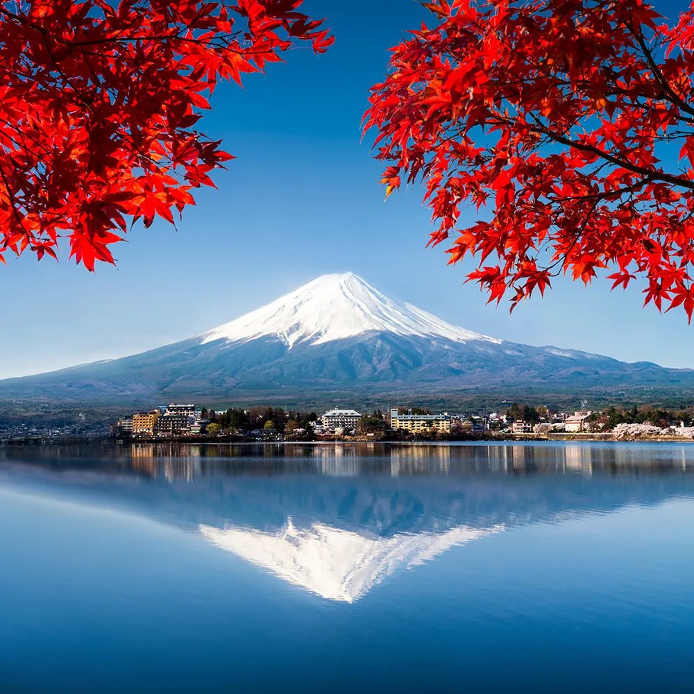 Gario Paraván Fuji és piros levelek Méret: 145 x 170 cm, Kivitelezés: Klasszikus paraván