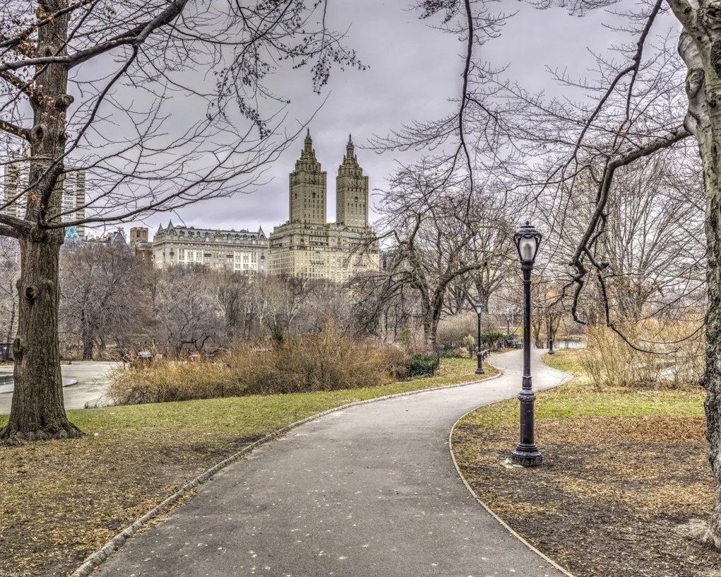 Poszter 50x40cm Ösvény a központi parkon át 3, Assaf Frank