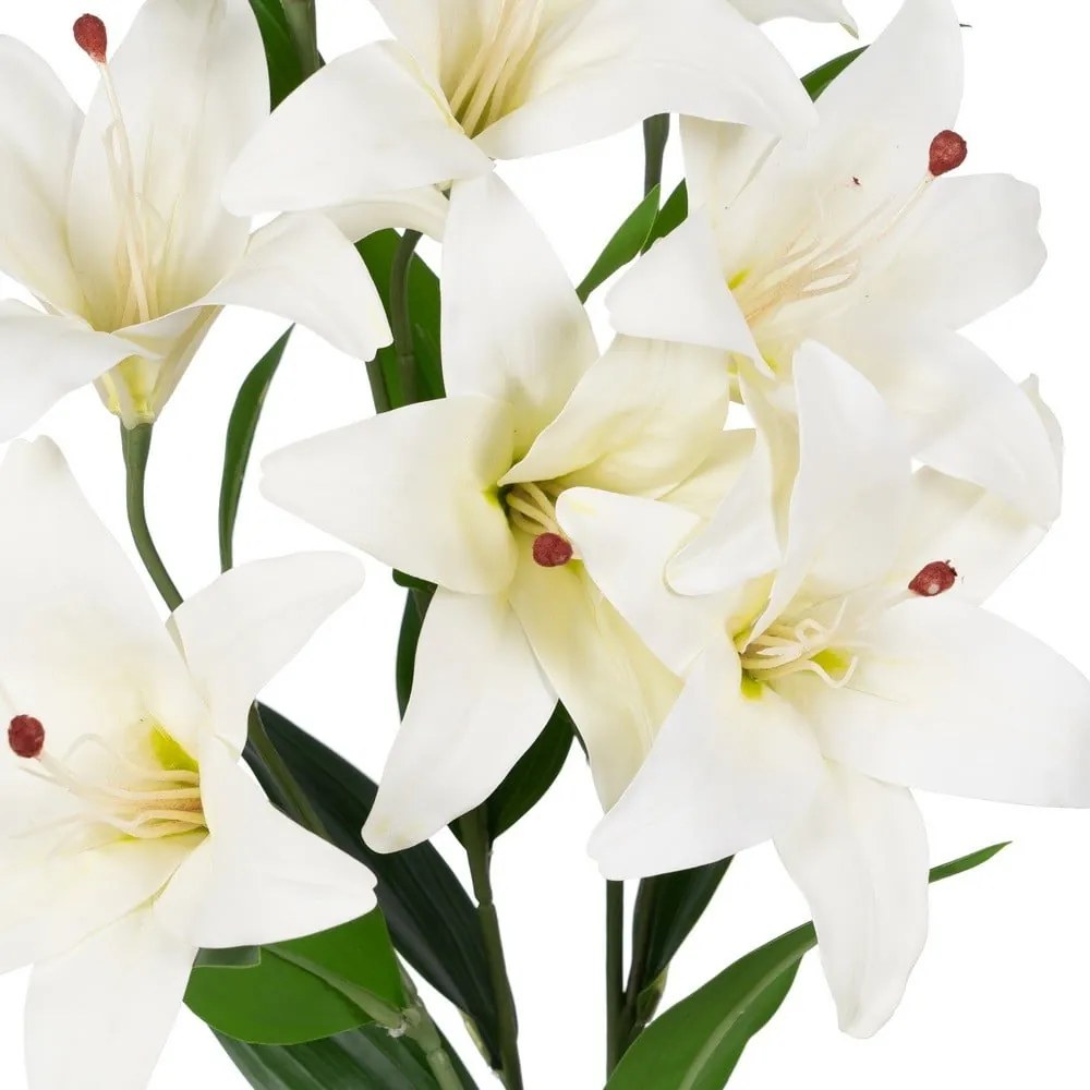 Művirág (magasság 59 cm) Lily – Ixia