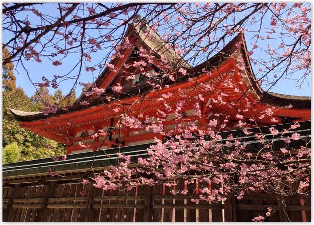 Poszterek 70x50 Japán templom