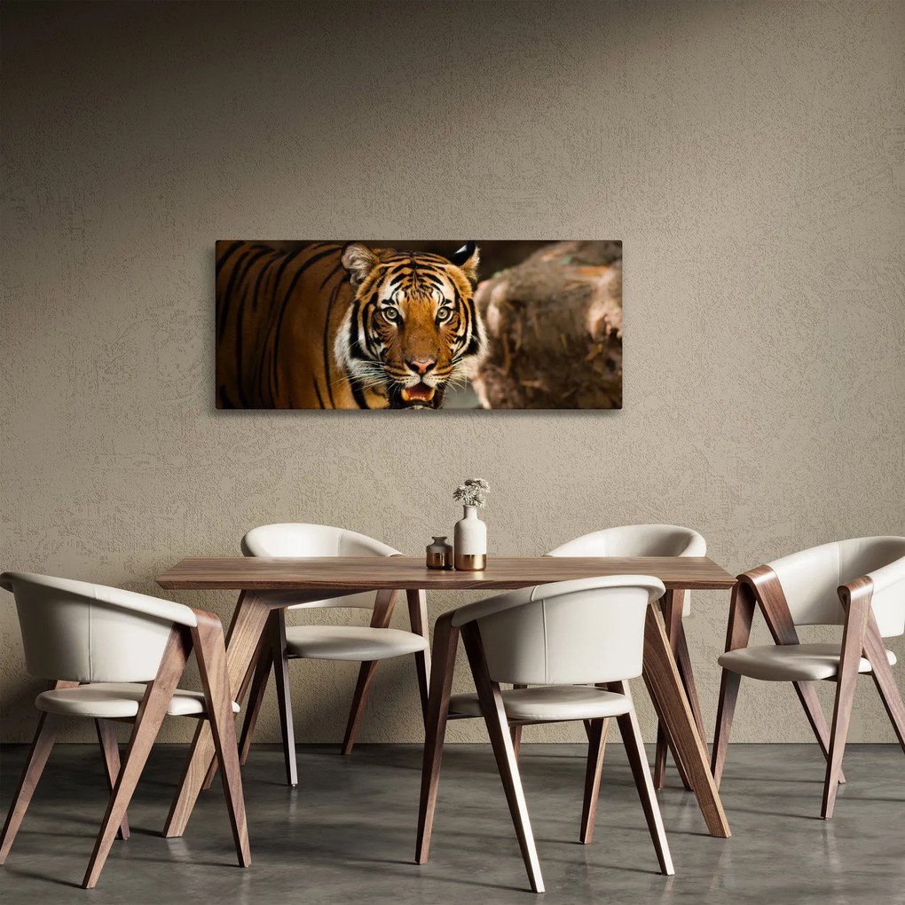 Tigris képe (120x50 cm)
