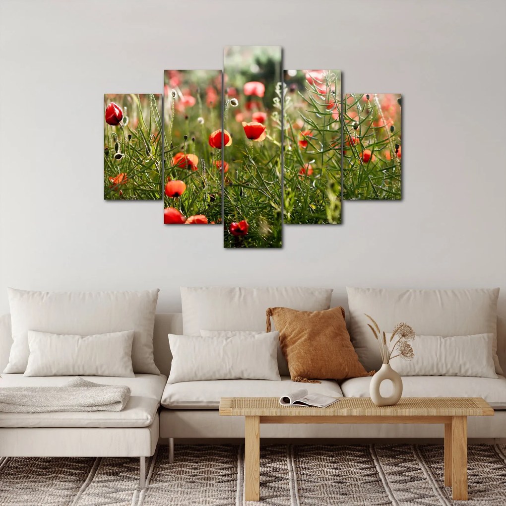 Pipacsok képe (150x105 cm)
